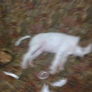 Meet your Posher, Ruben